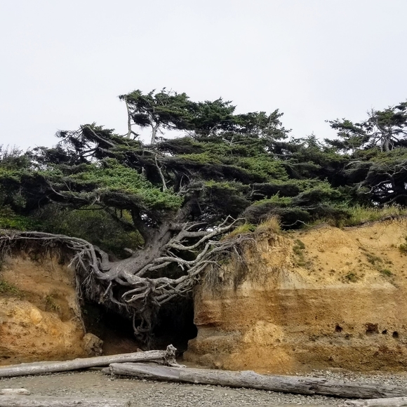 Meet your Posher, Sarah - Picture 3 of 10